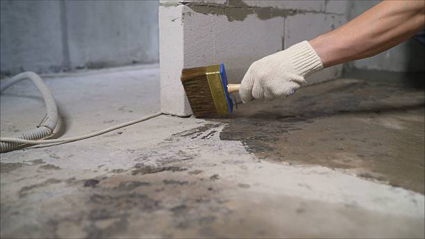 Crawl space vapor barrier installation in Wheeler, MI